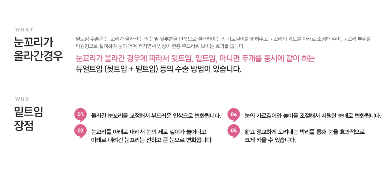 눈꼬리가올라간눈